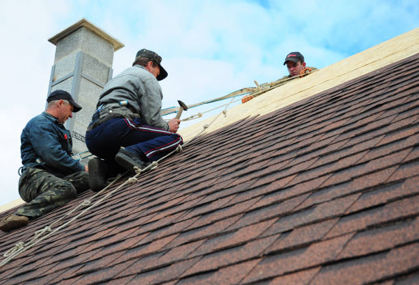 Best Residential Roofing Contractor  in Rice Lake, MN